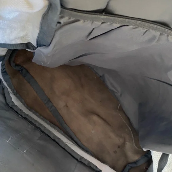 JanSport Big Student Art aPrint Backpack leather bottom. Large pockets - Picture 7 of 10